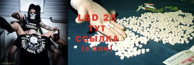 LSD-25 экстази кислота  Каменногорск 